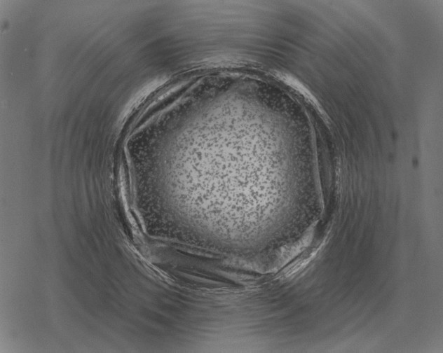 X0000077320930200611101454