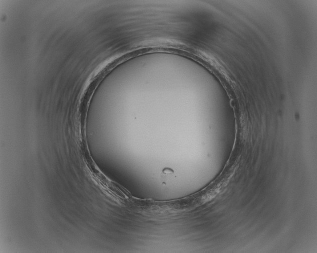 X0000077320931200611101454