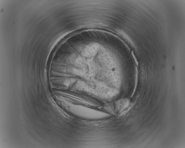 X0000077320932200611101454