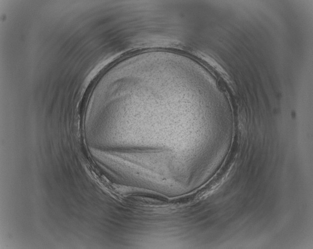 X0000077320933200611101454