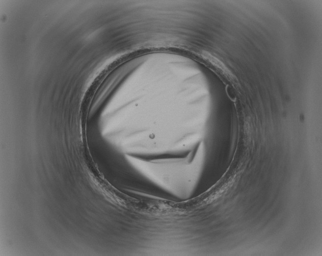 X0000077320934200611101454