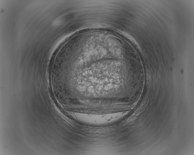 X0000077320935200611101454