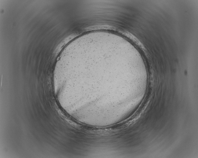 X0000077320937200611101454