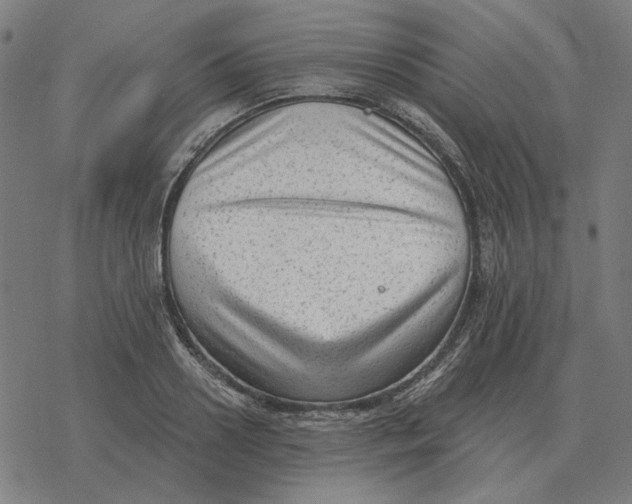 X0000077320938200611101454