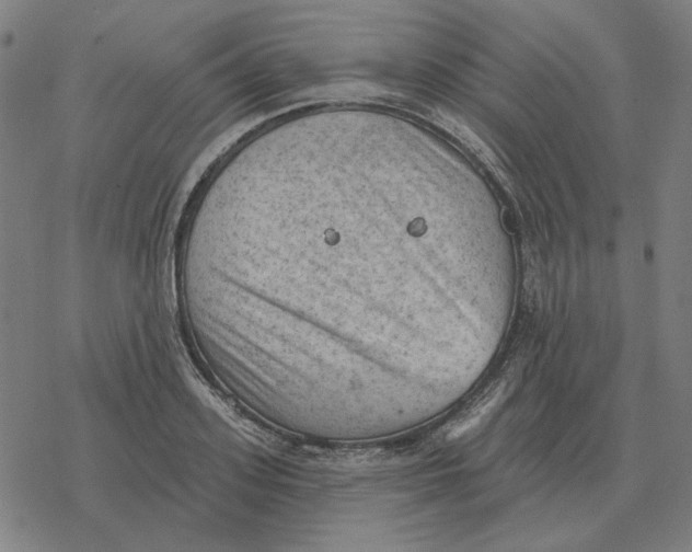 X0000077320939200611101454