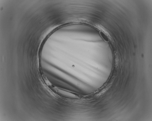 X0000077320940200611101454