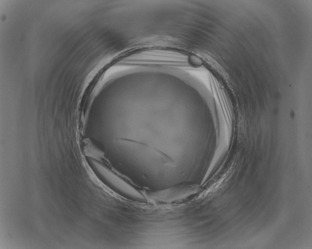 X0000077320941200611101454