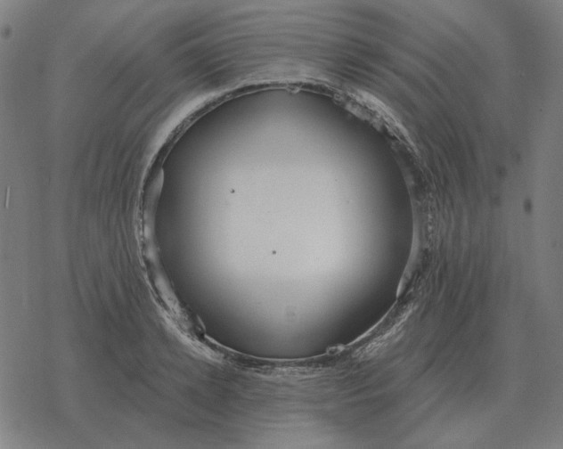 X0000077320942200611101454