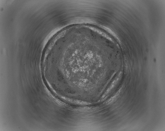 X0000077320943200611101454