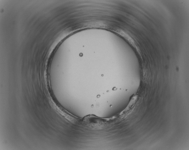 X0000077320947200611101455