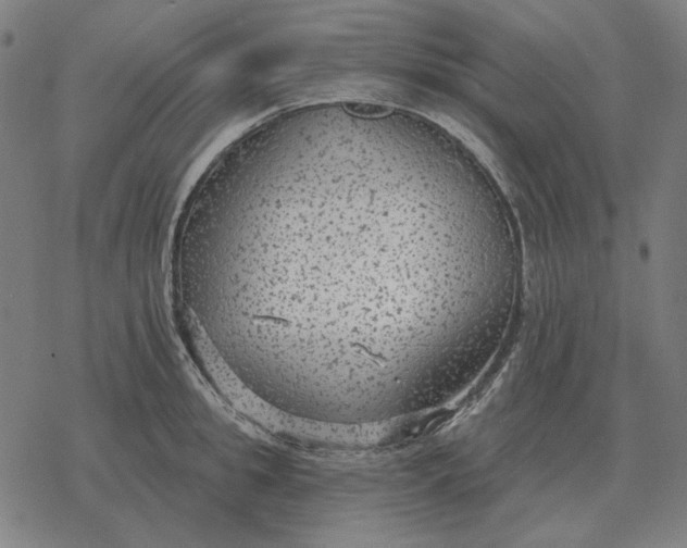 X0000077320949200611101455