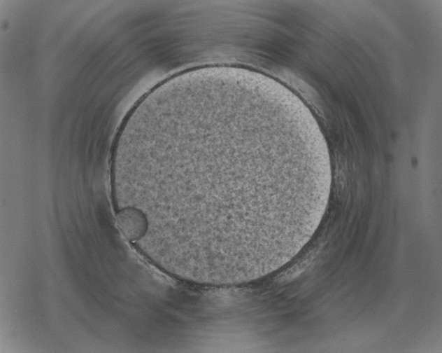 X0000077320950200611101455