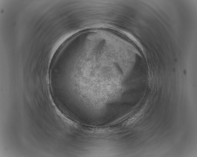 X0000077320951200611101455