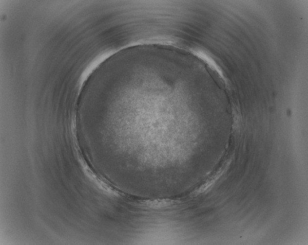 X0000077320952200611101455