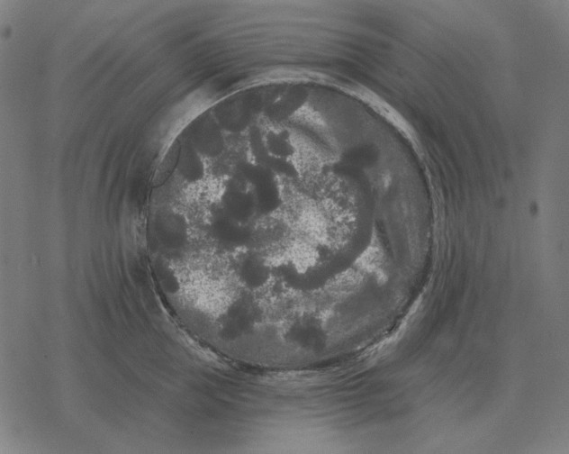 X0000077320953200611101455