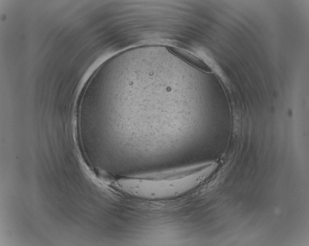 X0000077320955200611101455