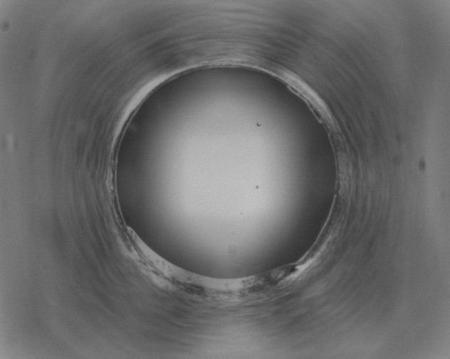 X0000077320956200611101455