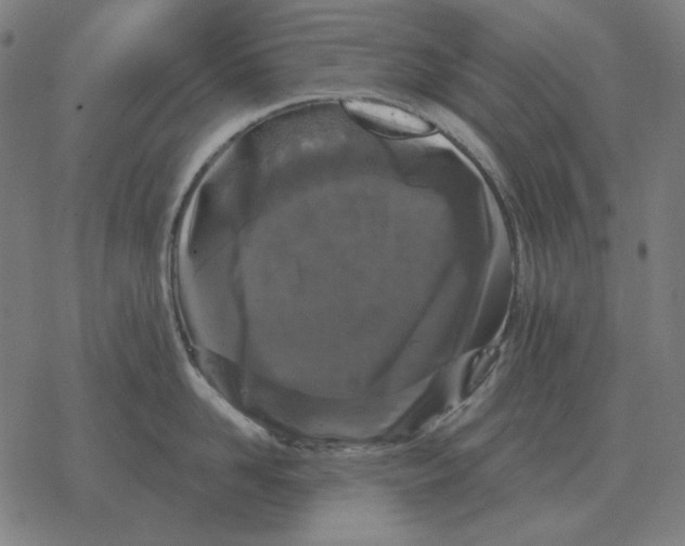 X0000077320958200611101455