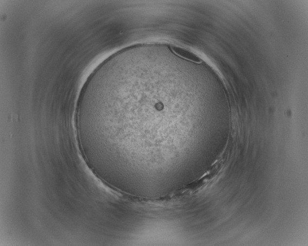 X0000077320959200611101455