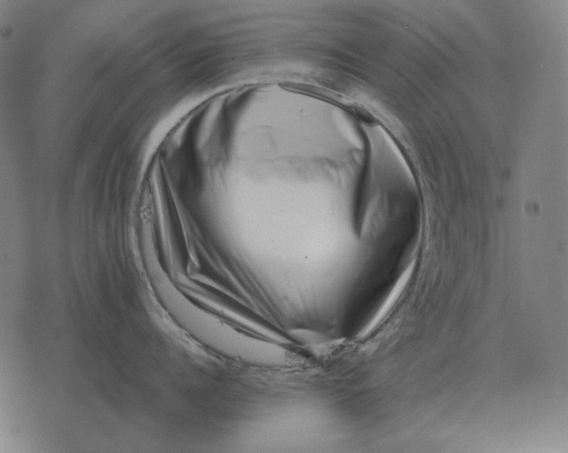 X0000077320960200611101455