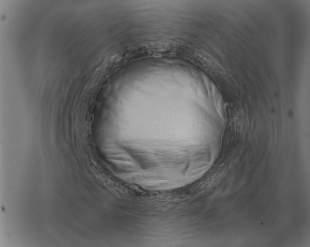 X0000077320961200611101454