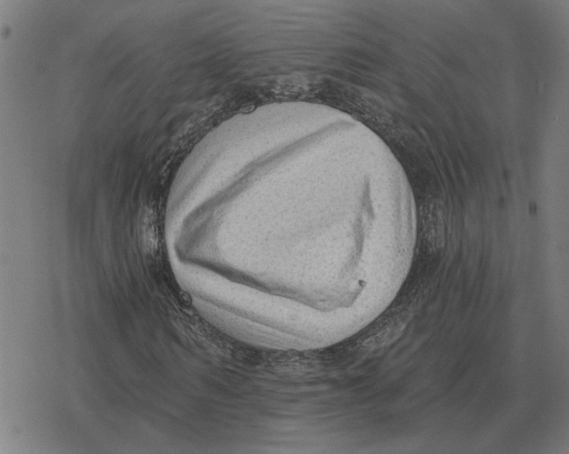 X0000077320962200611101454