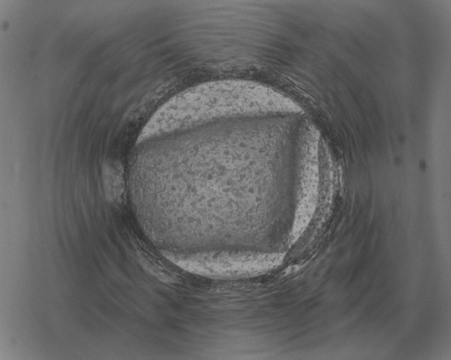 X0000077320963200611101454