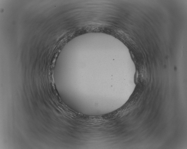 X0000077320964200611101454