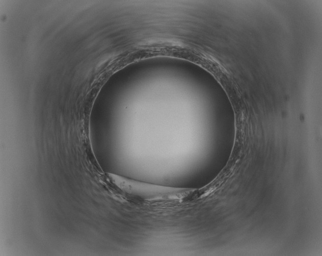 X0000077320965200611101454