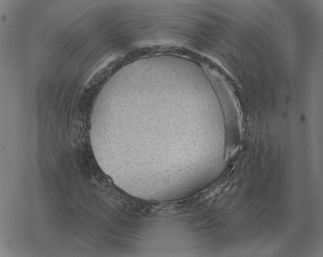 X0000077320967200611101454