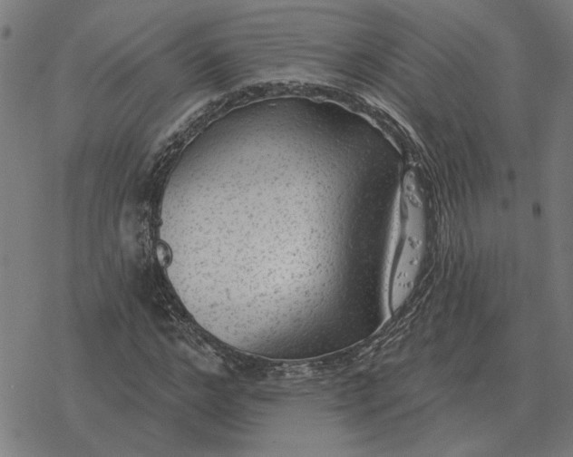 X0000077320968200611101454