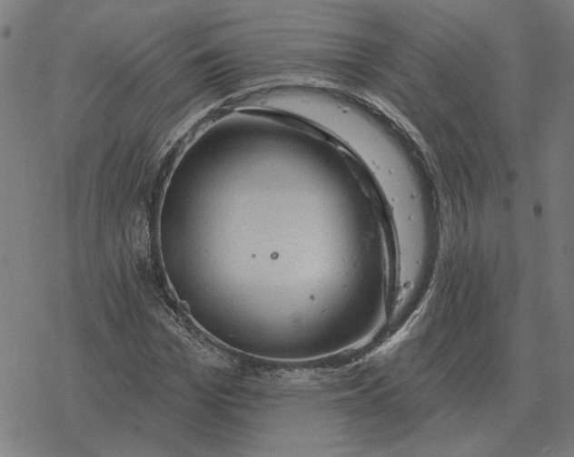 X0000077320969200611101454