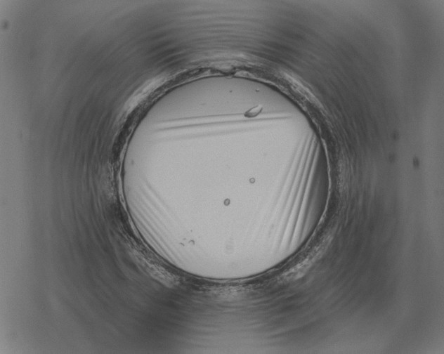 X0000077320970200611101454