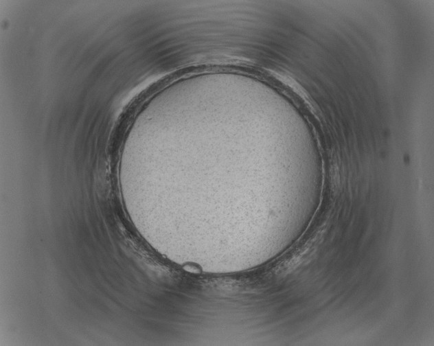 X0000077320971200611101454