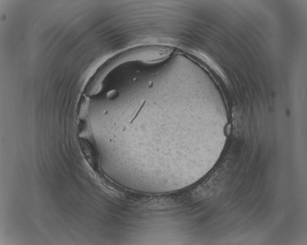 X0000077320972200611101454