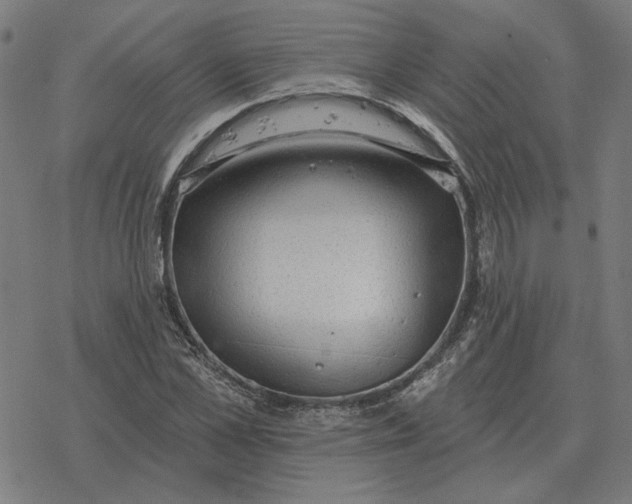 X0000077320973200611101454