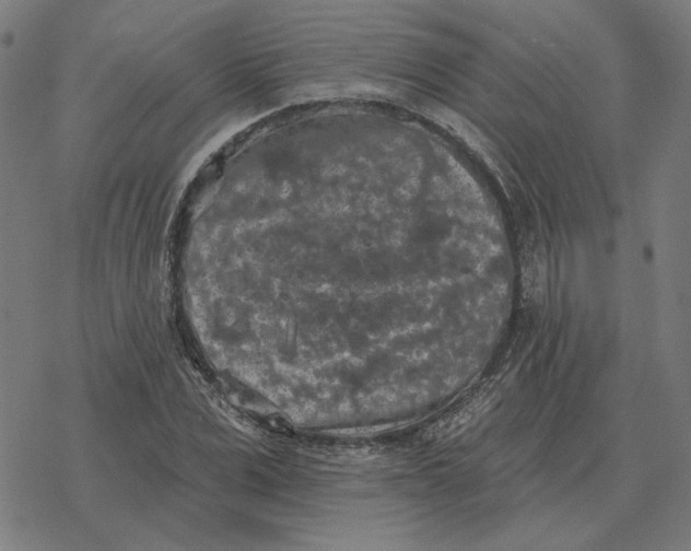 X0000077320975200611101454