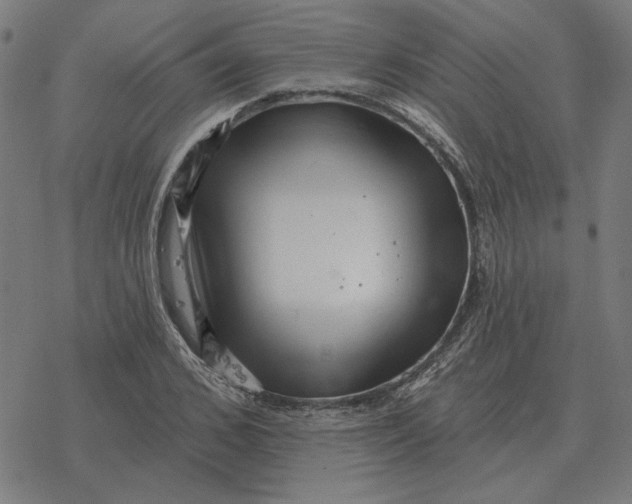 X0000077320976200611101454