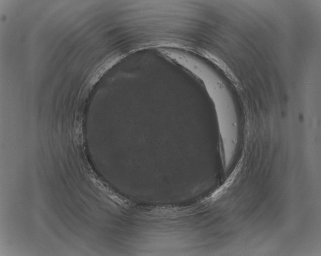 X0000077320977200611101454