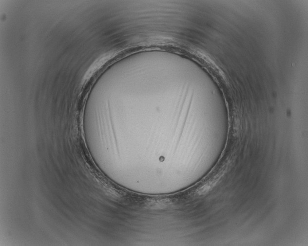 X0000077320978200611101454