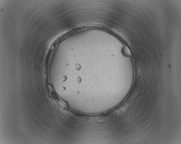 X0000077320979200611101454