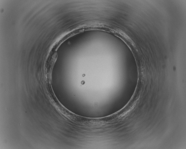 X0000077320981200611101454