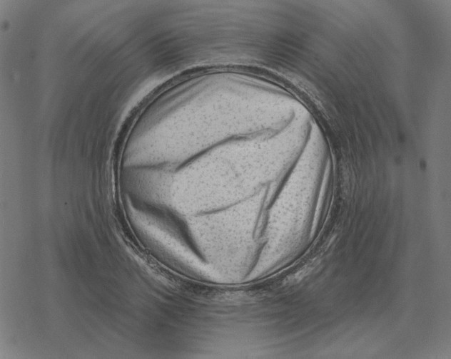 X0000077320982200611101454