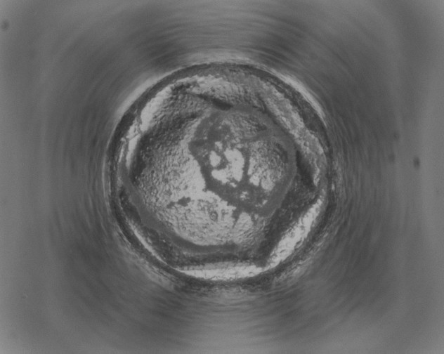 X0000077320983200611101454