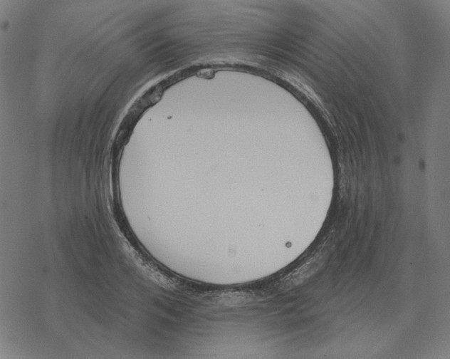 X0000077320984200611101454