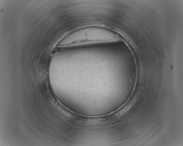 X0000077320985200611101454