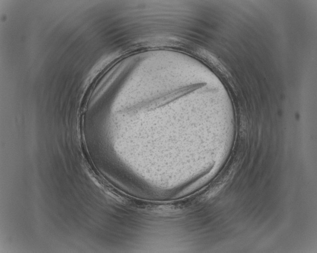 X0000077320986200611101454