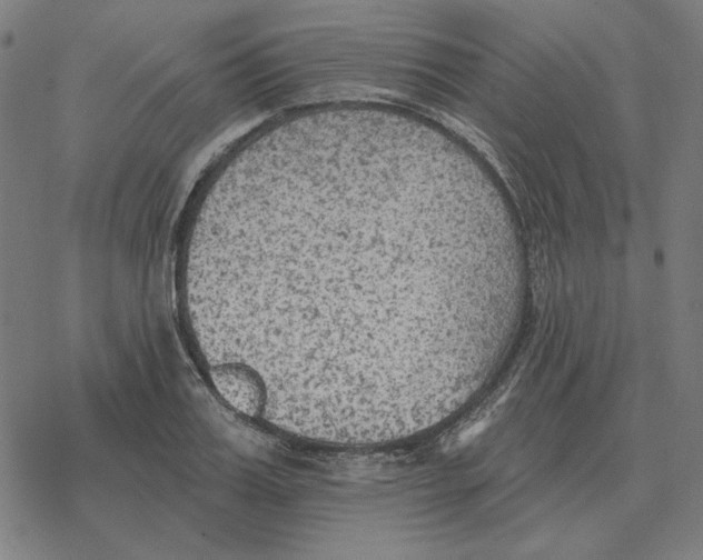 X0000077320987200611101454