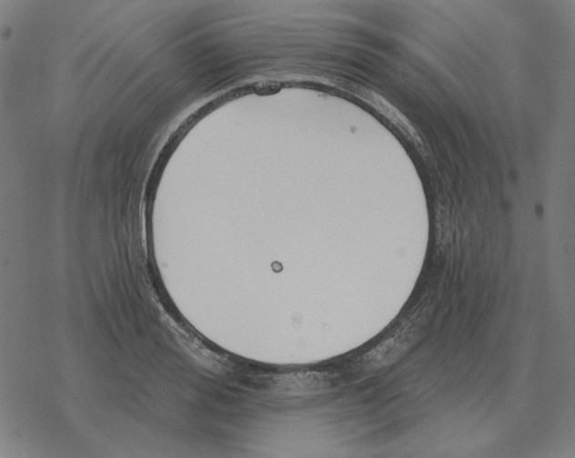 X0000077320988200611101454