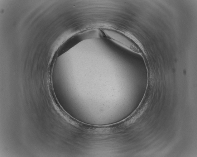 X0000077320989200611101454